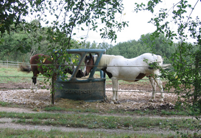 dérouleuse à turbine