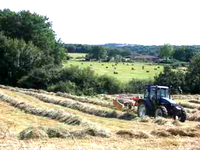 prairie naturelle