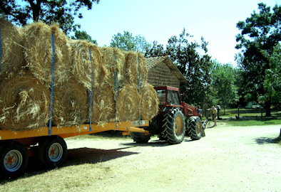 transport