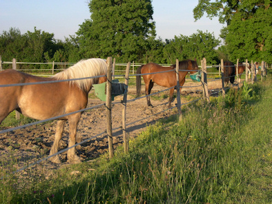 compléments midi et soir