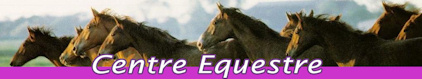 Centre Equestre