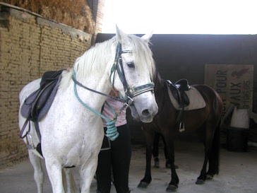 anneaux d'attache
