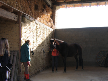 anneaux d'attache