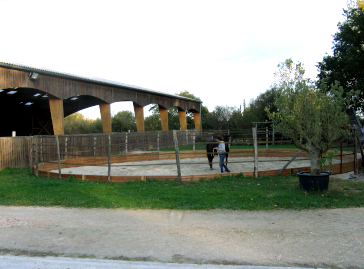 rond de longe
